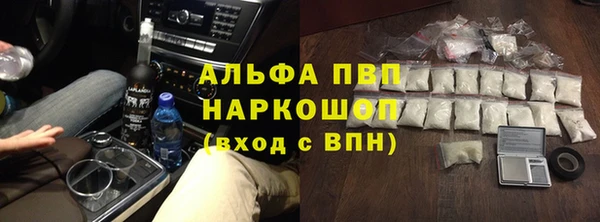 стаф Аркадак