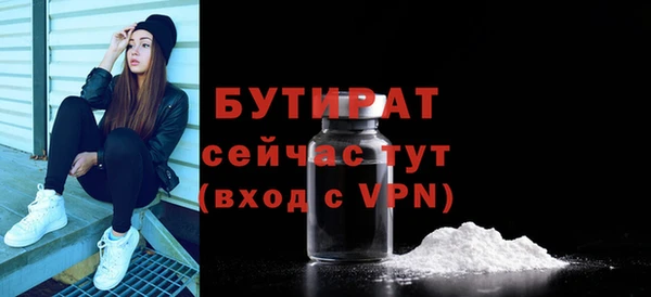 стаф Аркадак