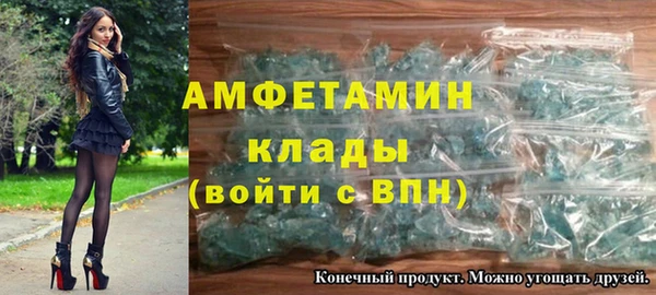 стаф Аркадак