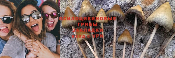 синтетический гашиш Семёнов