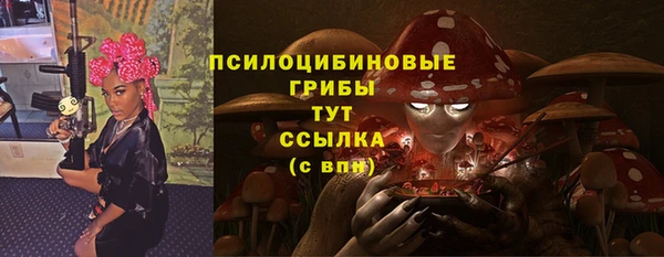 стаф Аркадак