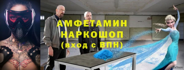 стаф Аркадак