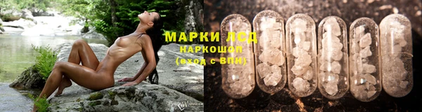 стаф Аркадак
